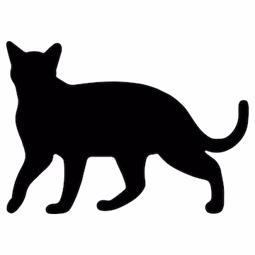 Señales de que tu gato está estresado